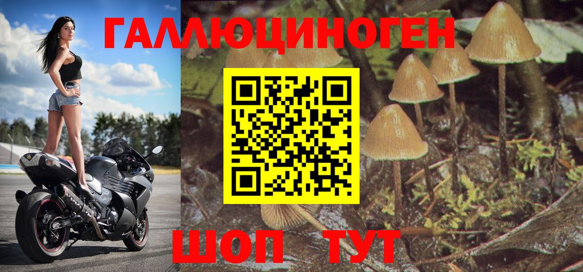 Грозный  Псилоцибиновые грибы мухоморы  цены   Псилоцибиновые грибы мицелий  Вход с VPN 